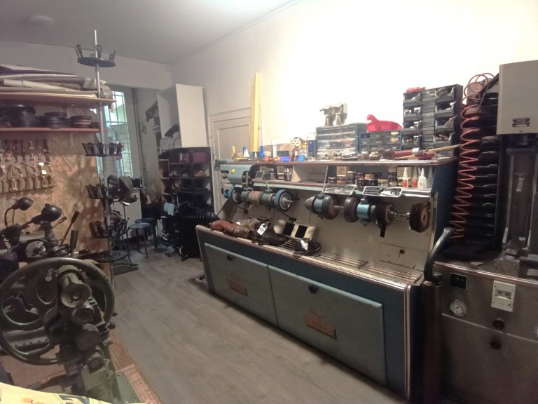 IMG 20240311 114340 325 768x576