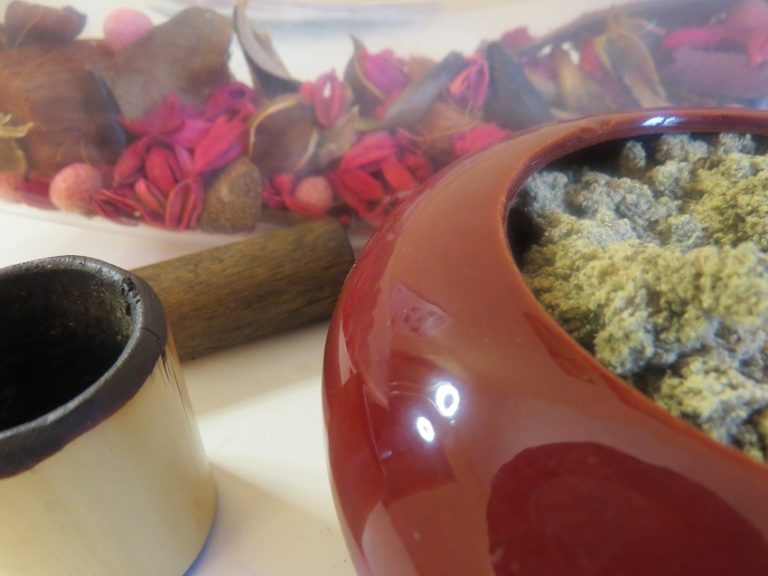 moxa japonais 768x576