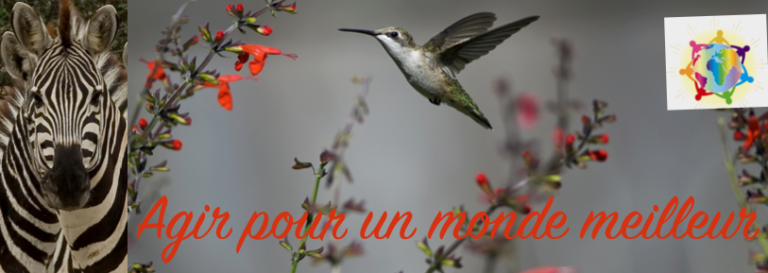 1 bandeauLogo AgirPrMdeMeilleuRevif45 768x273