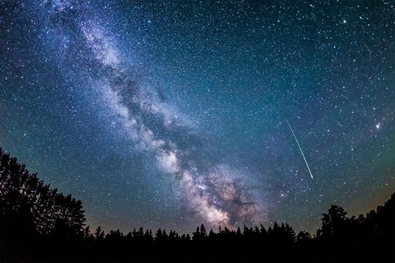 79574.adapt .1900.1 768x513