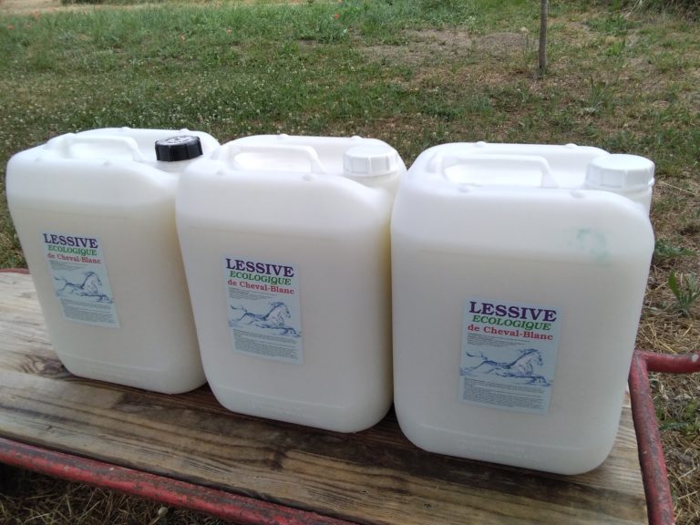 IMG 20240605 150103 768x576